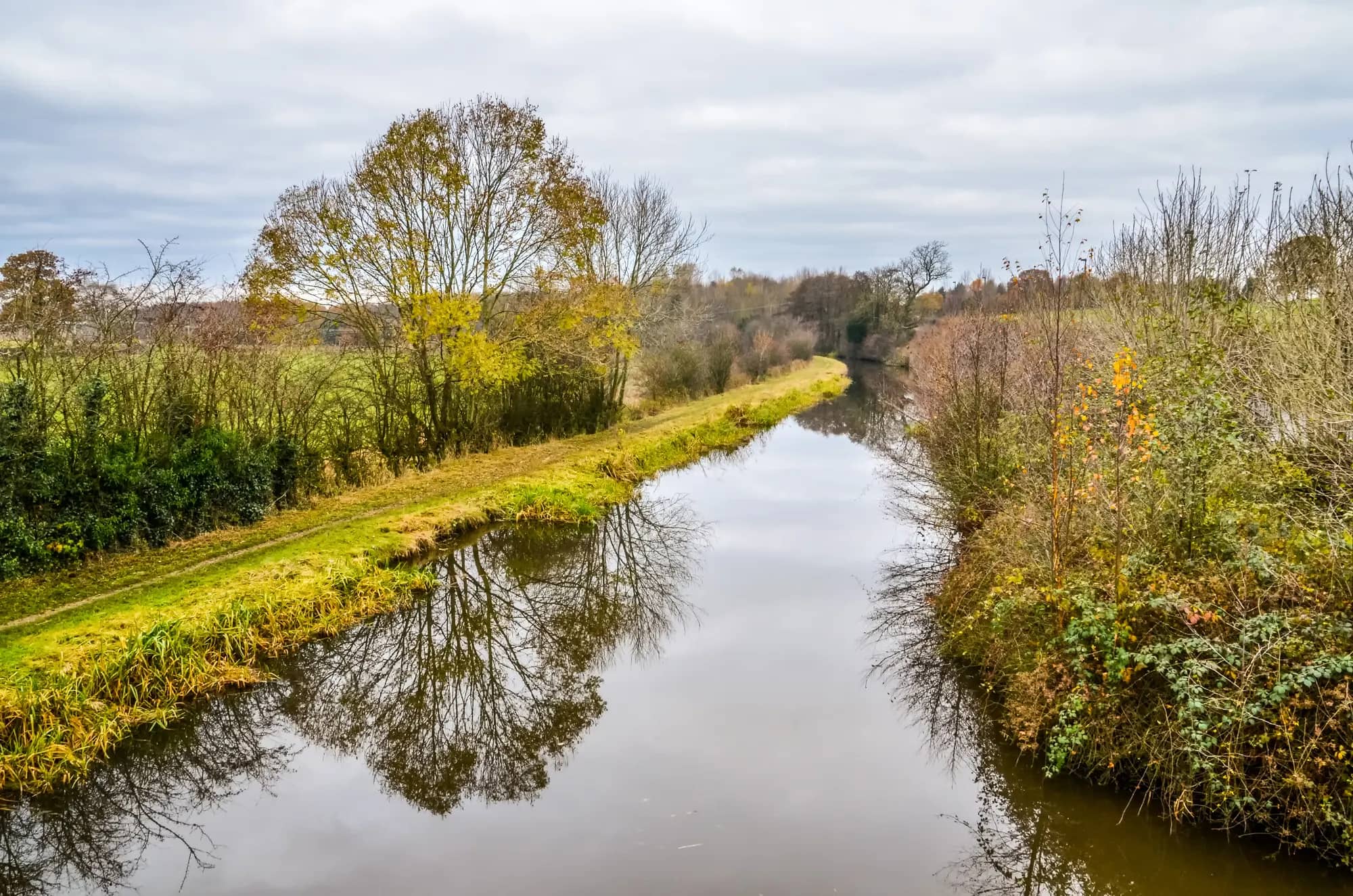buff butlers in Macclesfield